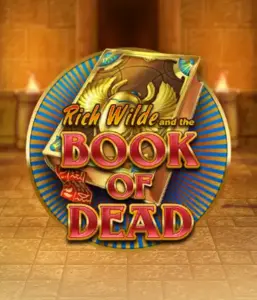 Enter the thrilling world of Book of Dead Slot by Play'n GO, showcasing vivid graphics of Rich Wilde's journey through ancient Egyptian tombs and artifacts. Uncover lost riches with engaging mechanics like free spins, expanding symbols, and a gamble option. Ideal for adventure seekers with a desire for thrilling discoveries.